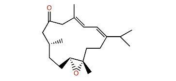 Triangulene A